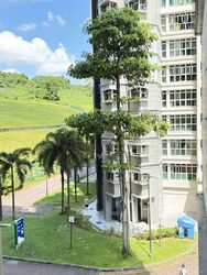Blk 391 Goodview Gardens (Bukit Batok), HDB 4 Rooms #571089581